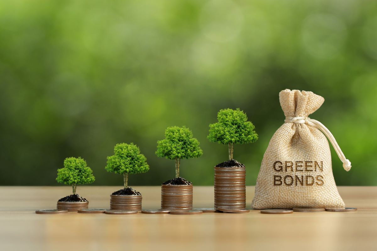 Green bond: dalle istituzioni finanziarie alle aziende, un percorso di sostenibilità lungo 16 anni