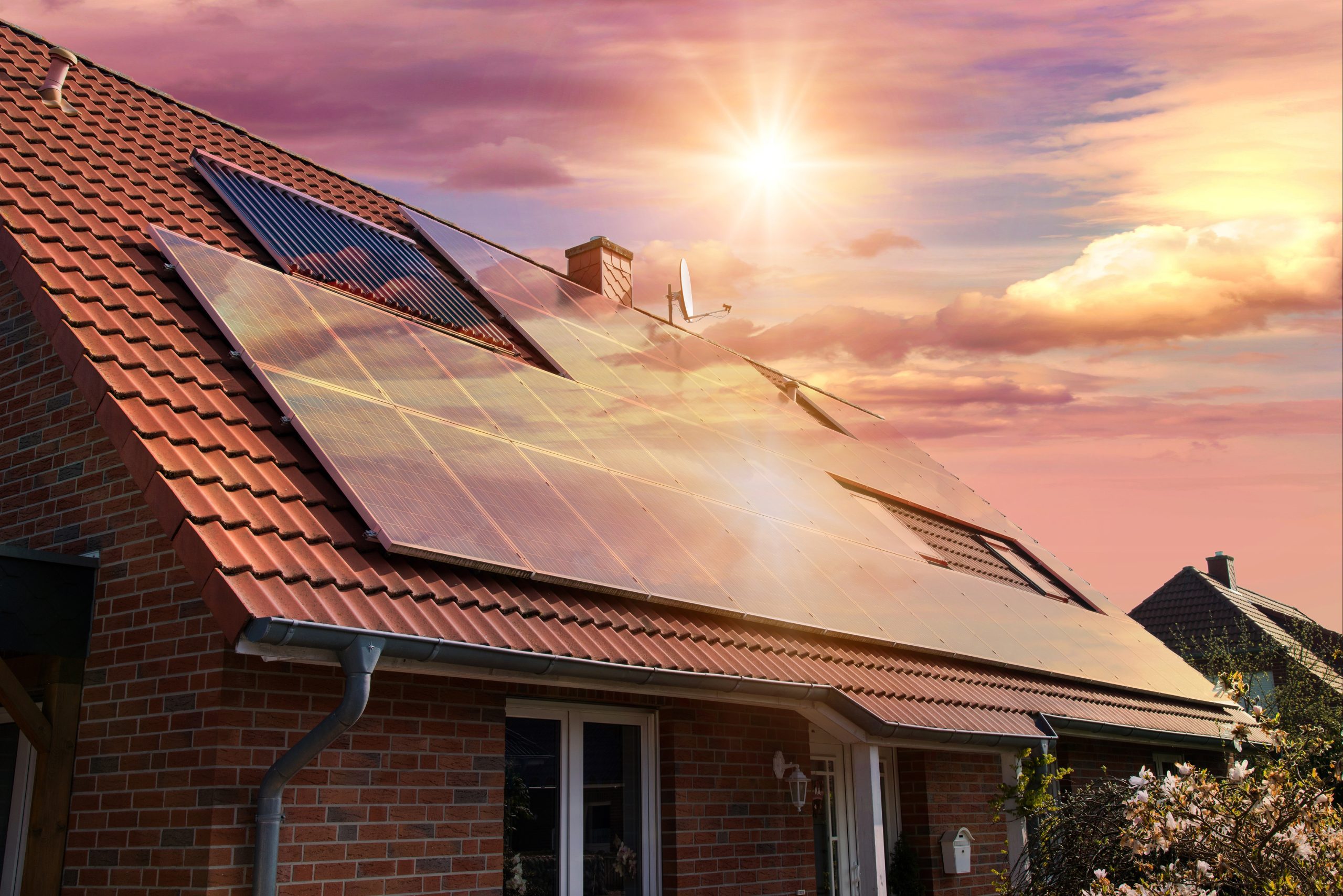 Fotovoltaico: celle solari organiche a base di legno, durevoli e economiche