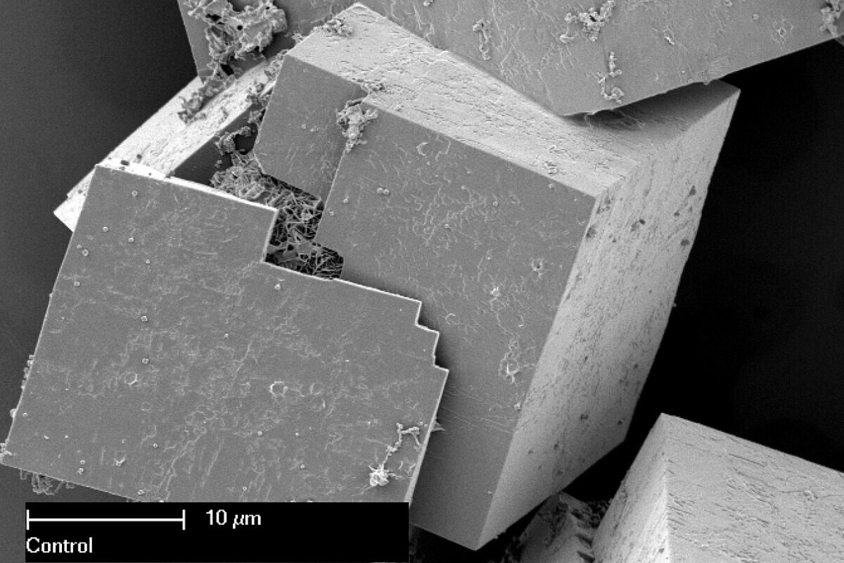 Le nanospugne che catturano CO₂ e acqua dall’aria: il progetto di Jacopo Perego premiato a Stand Up Science