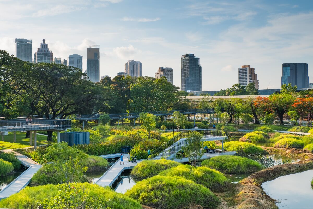 Design Invisible Forests: The 